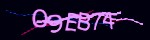 show_captcha
